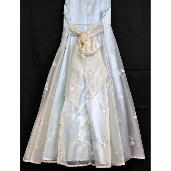 Green Dog Dress sz 8 Blue Wedding Flower Bow Shimmer Sheer Daisy Special Occasio - Picture 8 of 12